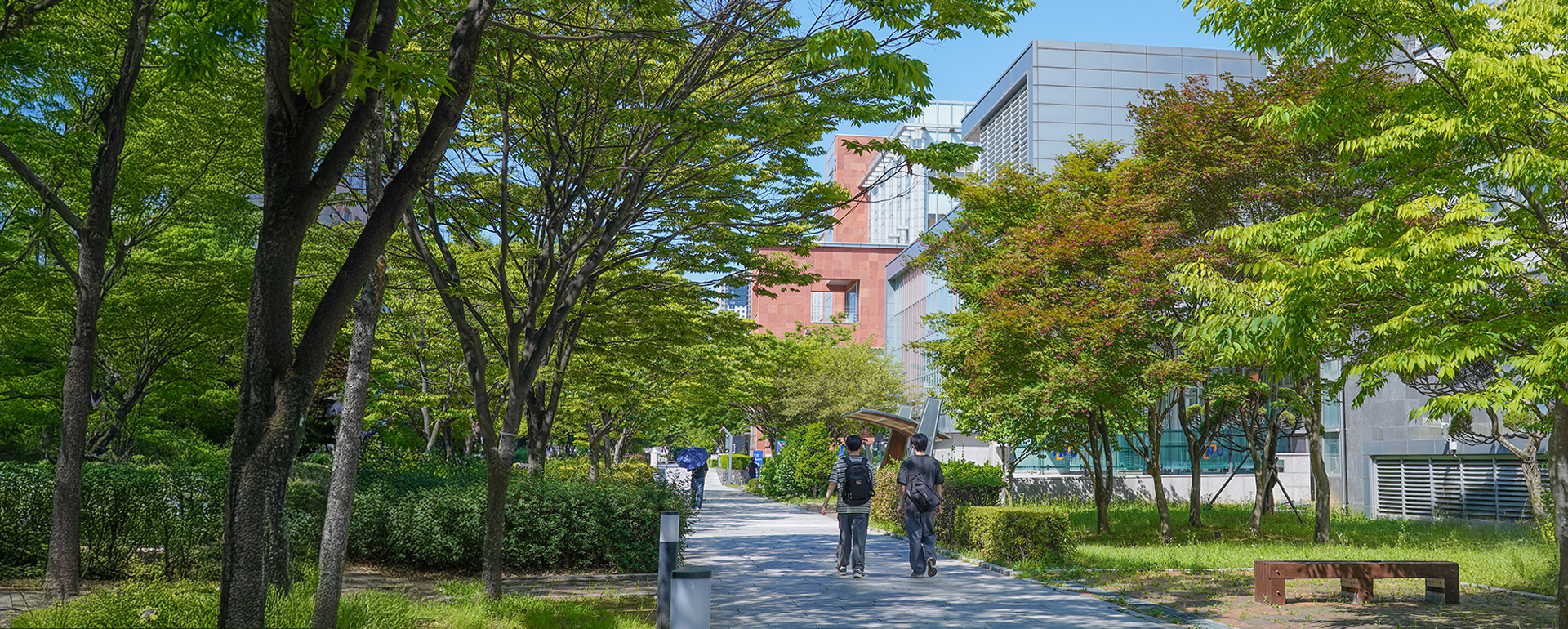 캠퍼스4.jpg