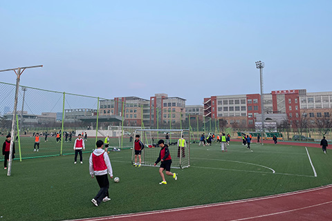 인풋아웃풋 활동사진